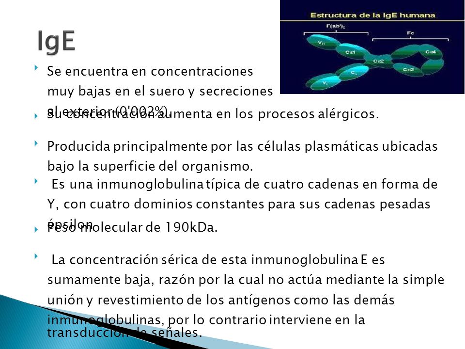 Inmunoglobulina ige total baja